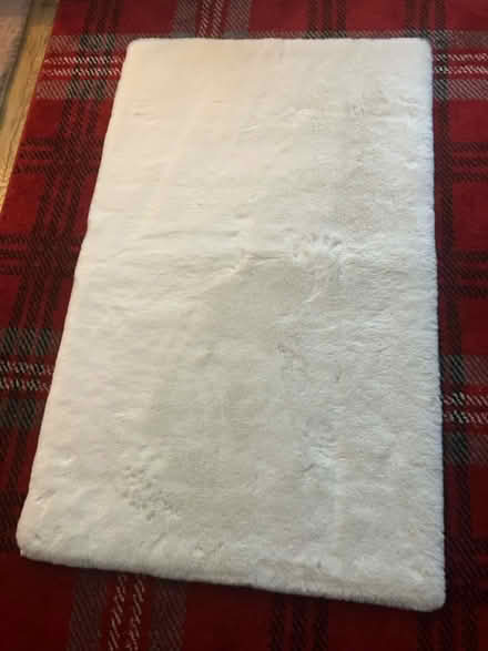 Photo of free White fluffy rug (Waddon) #1