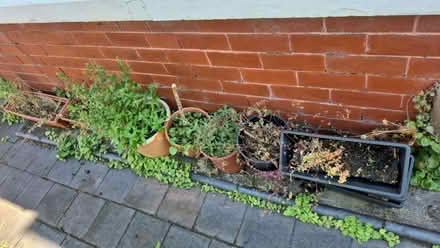 Photo of free Used planters (Southport PR9) #1