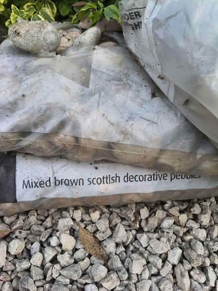 Photo of free Various sized pebbles (Brickhill MK41) #3