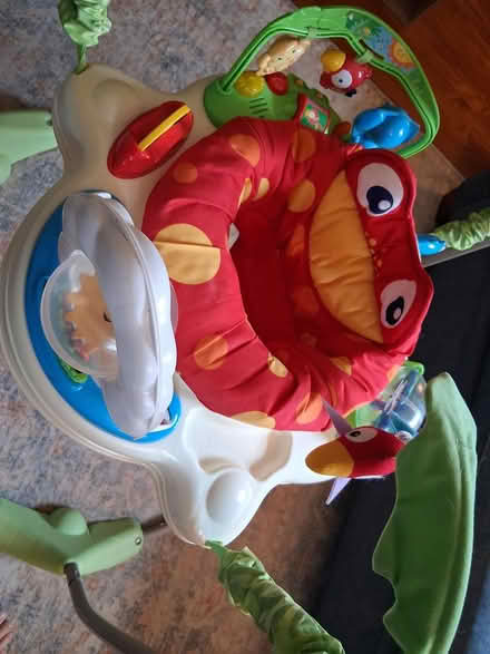 Photo of free Fisher-price rainforest Jumperoo (Havertown, PA) #2