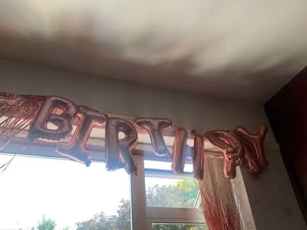 Photo of free Metallic Balloons (Sherwood NG5) #1