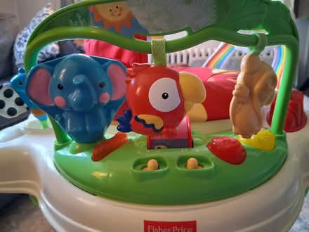 Photo of free Fisher-price rainforest Jumperoo (Havertown, PA) #4