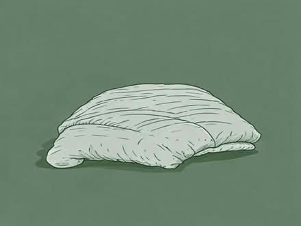 Photo of free Super king size quilt (Presteigne LD8) #1