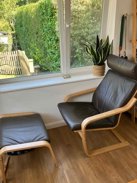 Photo of free Ikea chairs (Shipley RH13) #1
