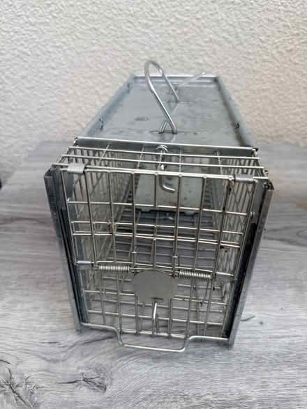 Photo of free Rat Trap (EN2) #2