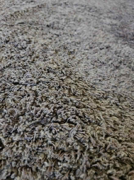 Photo of free Large brown shaggy rug (Carrick Knowe EH12) #3
