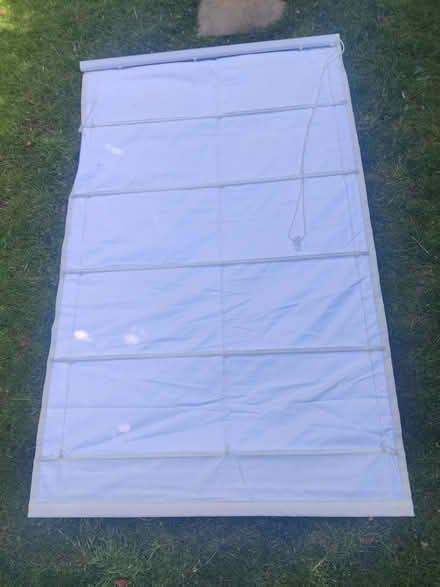 Photo of free 2 white blackout Roman blinds (Lower Clapton E5) #3