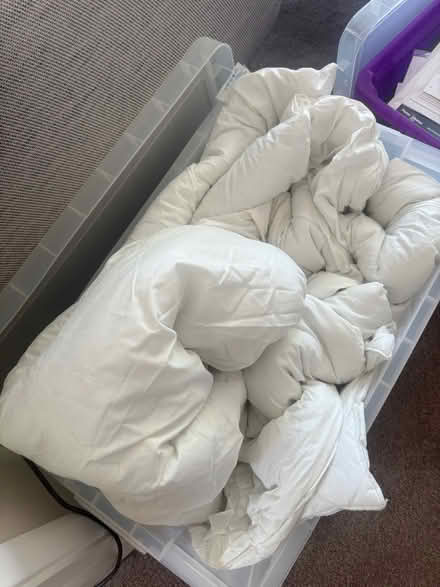 Photo of free Double duvet (Dorking. RH4) #1