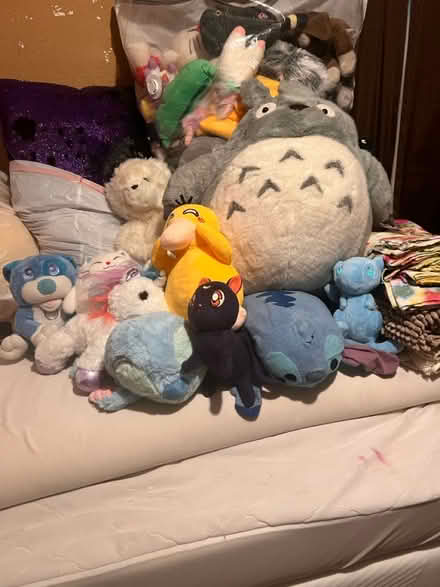 Photo of free 2 Bags of stuffed animals (Suisun) #3