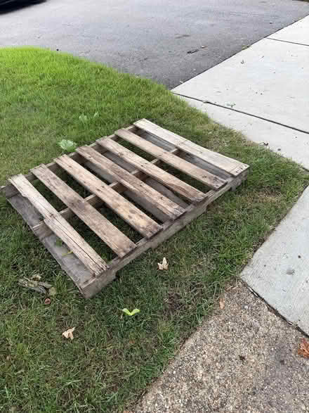 Photo of free Wood pallet (12629 Kornett Ln, Bowie) #1