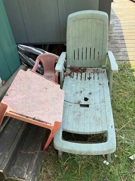 Photo of free Garden stuff (Finchley Central N3) #1