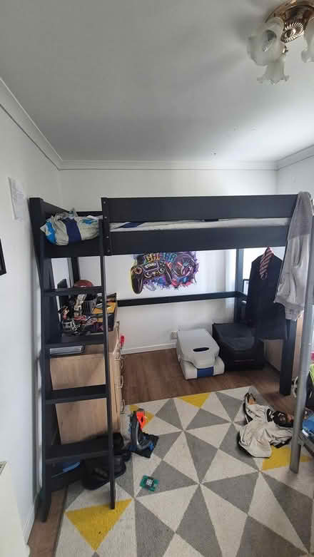 Photo of free Loft Bed (Shinfield RG2) #2