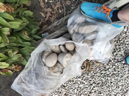 Photo of free Various large Pebbles (Brickhill MK41) #1