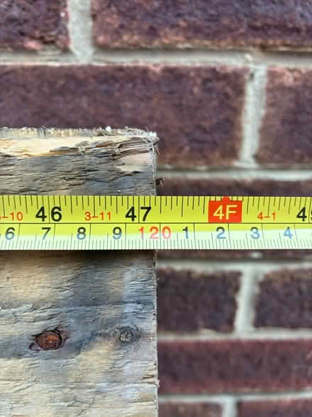 Photo of free Pallet (Portchester) #1