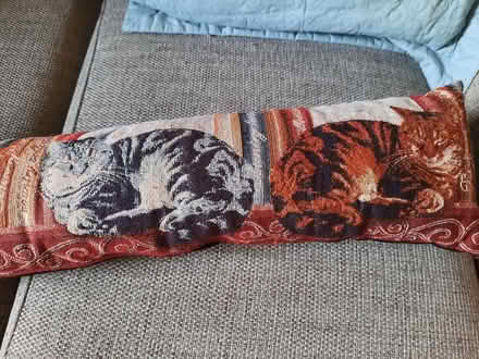 Photo of free Cats themed draught excluder (Hollingdean BN1) #1