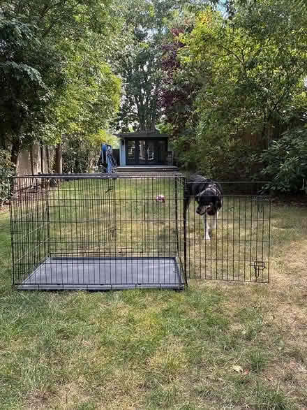Photo of free Large Dog Crate / Cage (Ealing Common W5) #1