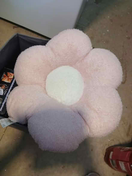 Photo of free Flower Cushion (Felling NE10) #2