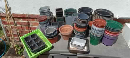 Photo of free Plastic plant pots (West Moors BH22) #1