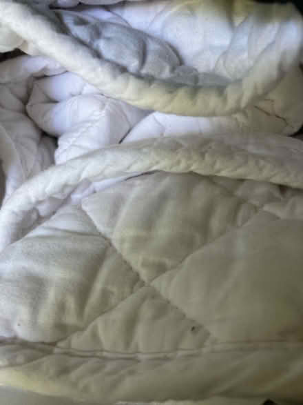 Photo of free Light summer quilt (Corstorphine EH12) #4