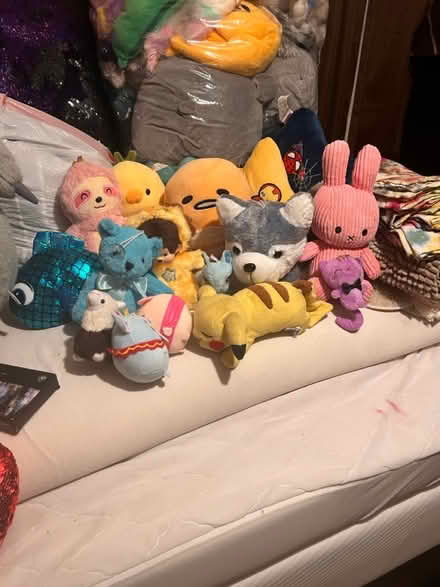Photo of free 2 Bags of stuffed animals (Suisun) #2