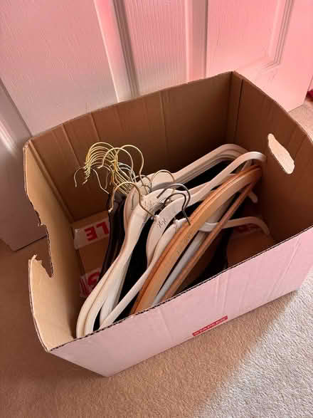 Photo of free Box of Hangers (Bingley BD16) #1