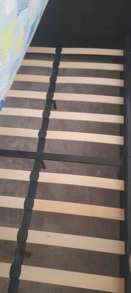 Photo of free 2 single flux beds (69 fintry avenue PA2) #1