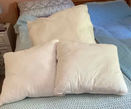 Photo of free Cushions (Link Common WR14) #1