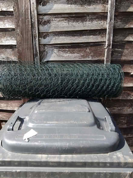 Photo of free roll of green wire netting (Witney OX28) #1