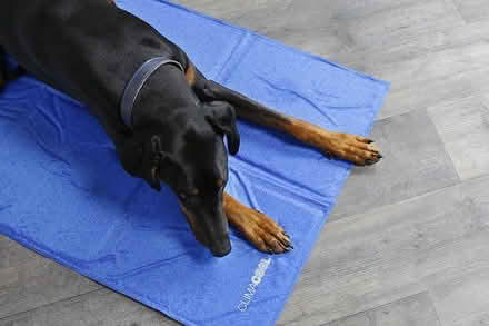 Photo of Cooling mat (CB4) #1