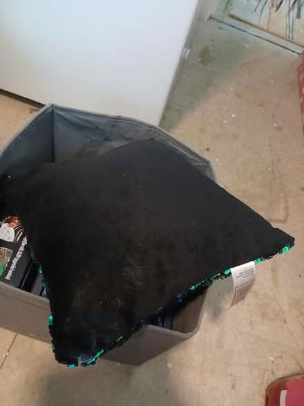 Photo of free Cushion (Felling NE10) #2