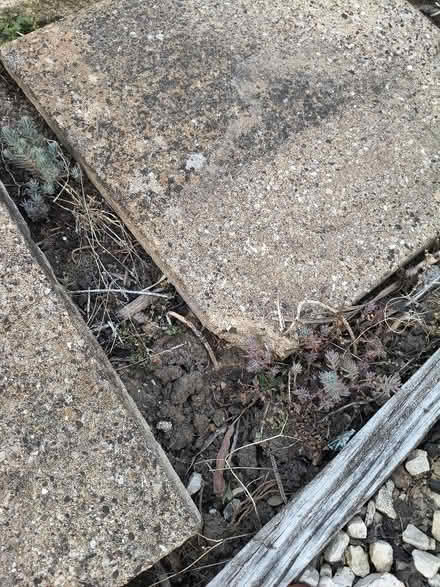 Photo of free Paving slab x4 (Brickhill MK41) #2