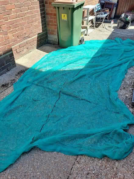 Photo of free Garden netting (Harefield SO19) #1
