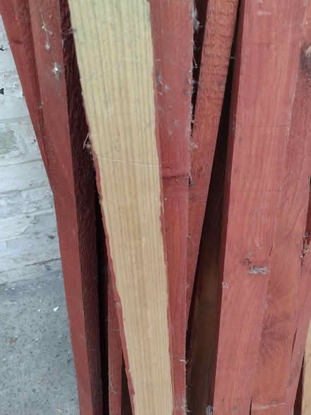 Photo of free 30 wooden battens (Sherwood NG5) #3