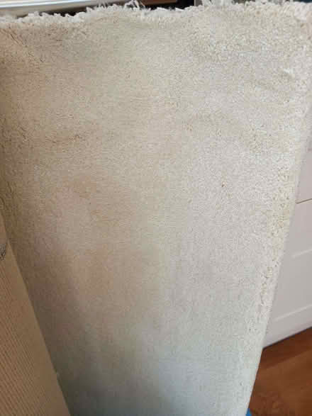 Photo of free Cream carpet offcut (Woodley RG5) #2