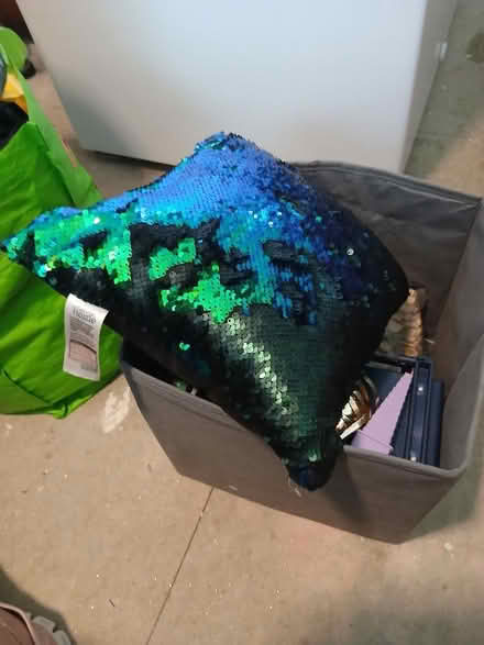 Photo of free Cushion (Felling NE10) #3