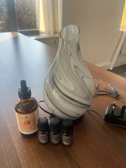 Photo of free Aromatic steam lamp with oils (BS7) #1