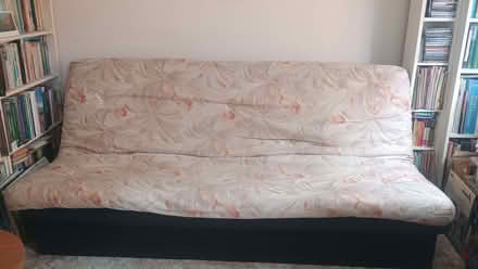 Photo of free sofa bed (Coleridge Ward CB1) #1