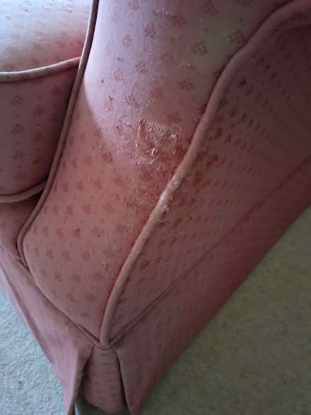 Photo of free Vintage Laura Ashley Pink 2 seater sofa (Llangrove HR9) #4