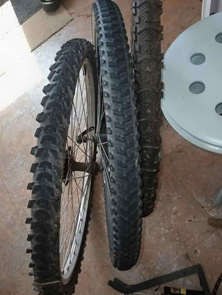 Photo of free MTB Bicycle Tyres (Nuthall NG16) #2