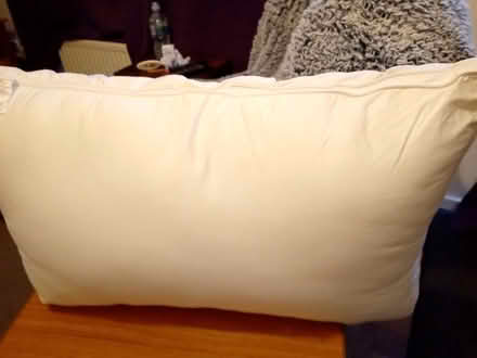 Photo of free Lauren Williams pillow (Orton Goldhay) #2