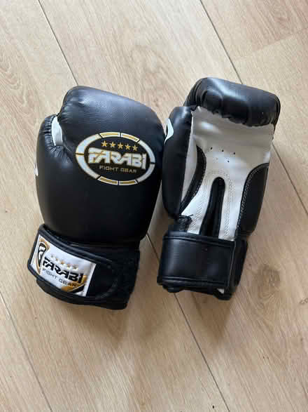 Photo of free Children’s Boxing Gloves (Bankfoot BD5) #1