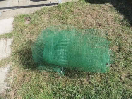 Photo of free Plastic netting to protect bean plants (Sheddingdean RH15) #1