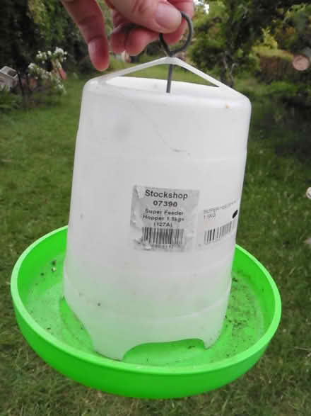 Photo of free Chicken feeding hopper 1.5kg (Sheddingdean RH15) #1