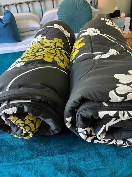 Photo of free 2 x matching large sleeping bags (CH43) #1