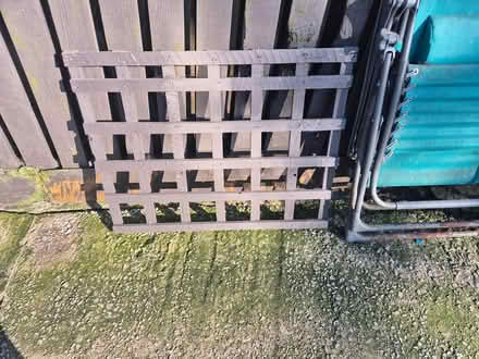 Photo of free Garden trellis (BD4 Holmewood) #1