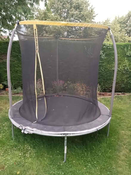 Photo of free 8ft trampoline (Jennyfield HG3) #1