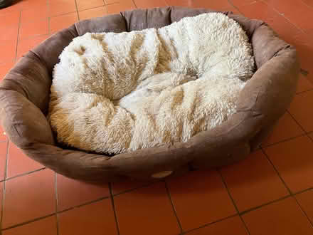 Photo of free Large Dog Bed (Fawley OX12) #1