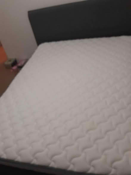 Photo of free Queen sized bed and mattress (Collaroy) #2