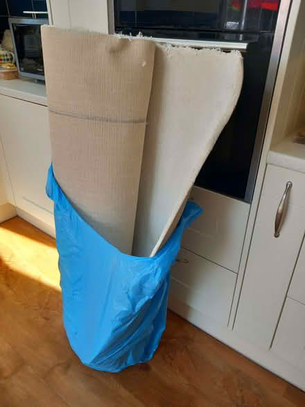 Photo of free Cream carpet offcut (Woodley RG5) #1