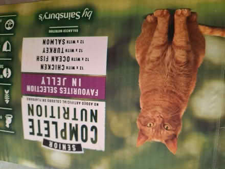 Photo of free Sainsbury own senior cat food (Hollingdean BN1) #4